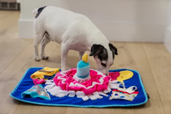 Snuffle-mat-PET-PLAY